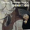 DANIEL STRIPED TIGER condition