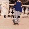 SEDIA s/t