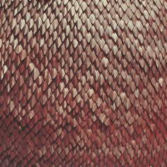 kill-vultures-carnelian-totally-gross-national-product-2015#