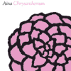 AINA chrysanthemum