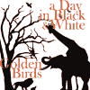 A DAY IN BLACK WHITE_GOLDEN BIRDS_split