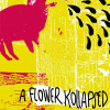 A FLOWER KOLLAPSED Orsago