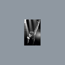 CONVERGE_MODERN LIFE IS WAR_dimanche 3 avril 2005, 13 euros