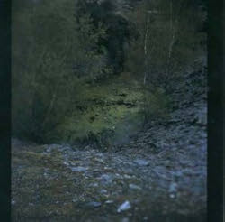 CHEVREUIL chateauvallon Cd Ruminance / Ottonecker 2003