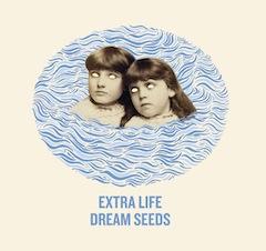 Extra Life_Dream Seeds_africantape_northern-spy