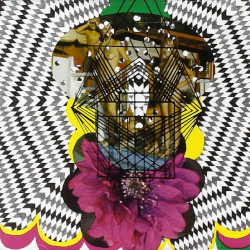 aids-wolf-the-lovers-lp-lp-love-pump-united-2006