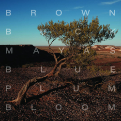 brown-buck-mayas-blue-plum-bloom-shame-file-music-2025
