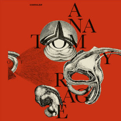 convulsif-anatomy-rage-day-records-2026