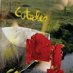 cuticles-major-works-lp-siltbreeze-records-2023