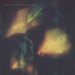 marta-warelis-still-life-lemons-relative-pitch-records-2026