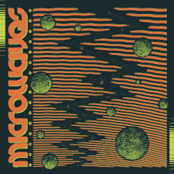 MICROWAVES 'temporal shifter' (Decoherence records 2026)