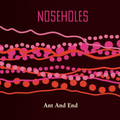 NOSEHOLES ant-and-end (lp-chuchu-records-2019)