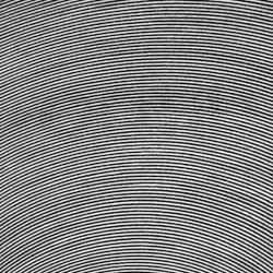 ootil-bipolar-order-ali-buh-baeh-2025