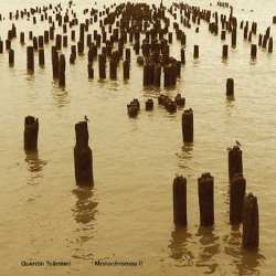 quentin-tolimieri-monochromes-ii-elsewhere-music-2026