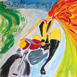 SUBTLE TURNSHIPS septentinoriel (SDZ Records 2026)