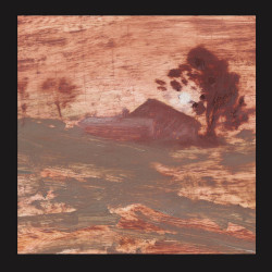 THE SHITS Diet Of Worms (Rocket Recordings 2026)