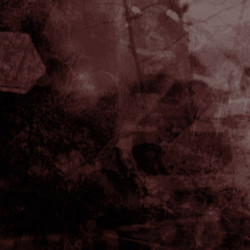 THE TELESCOPES  Auditory Illusions Double Agent Records