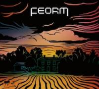 feorm-s-s-fen-tiger-records-2011