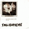 XINLISUPREME tomorrow never comes