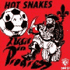 HOT SNAKES audit in progress