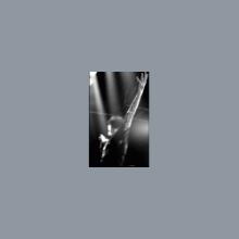 CONVERGE_MODERN LIFE IS WAR_dimanche 3 avril 2005, 13 euros