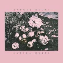 andrea-belfi-natura-morta-miasmah-2014