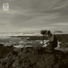 bj-nilsen-true-nature-ideologic-organ-2025