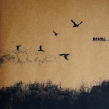 brame-ce-qui-rode-autoproduction-2020