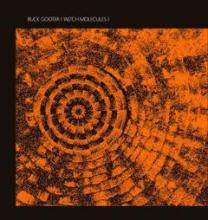 buck-gooter-witch-molecules-x-mist-records-2012