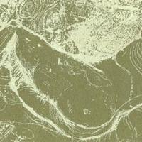 cerberus-shoal-herman-dune-the-whys-and-hows-herman-dune-and-cerberus-shoal-cd-north-east