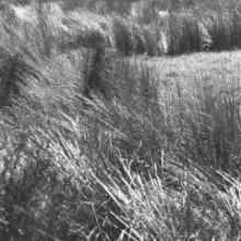 chris-abraham-thrown-room40-2021