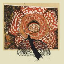 david-fenech-klimperei-rainbow-de-nuit-marionette-2021