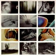 death-pigs-live-karachi-213-records-2012