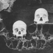 france-destino-siphosi-standard-fi-a1000p-2025