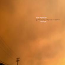 ian-wellman-particularly-dangerous-situation-elevator-bath-2025