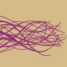 maxime-petit-how-many-miles-babylon-autoproduction-2013