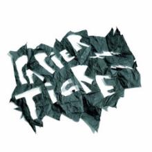 PAPIER TIGRE  s/t cd Collectif Effervescence 2007
