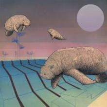 piscine-olympique-tant-rever-du-roi-2015