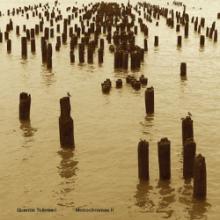 quentin-tolimieri-monochromes-ii-elsewhere-music-2026