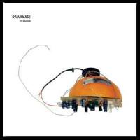 rawakari-ikebana-cd-elf-cut-2000