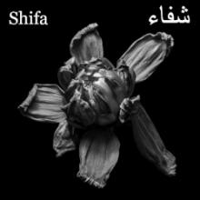shifa-ecliptic-discus-music-2025