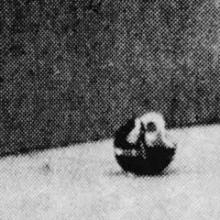 the-conformists-midwestless-computer-students-2024