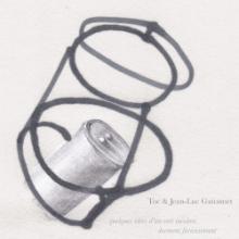 toc-jean-luc-guionnet-quelques-idees-dun-vert-incolore-dorment-furieusement-circum-disc