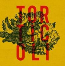 torticoli-st-torticoli-Bigoût-Kerviniou-Ernie Diskale-2014