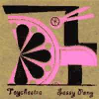 toychestra-sassy-pony-cd-sk-records-2002