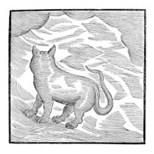 valentina-magaletti-ypy-kansai-bruisese-ad-93-2025