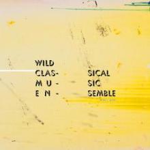 wild-classical-music-ensemble-tapping-clapping-et-mon-cul-cest-du-toffu-2015