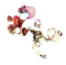 yellow-swans-all-ends-cd-load-records-2007