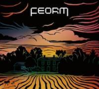 feorm-s-s-fen-tiger-records-2011