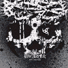 RISE AND FALL into oblivion
